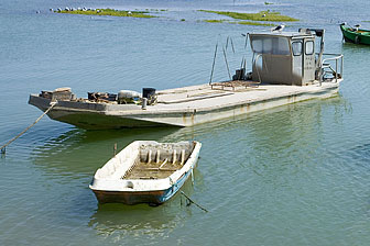 bateau ostréicole