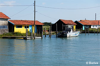 cabane ostréicole