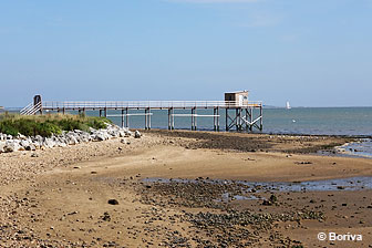 plages des coquillages