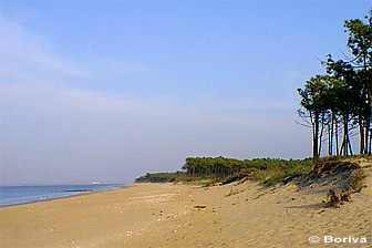 plage des Saumonards